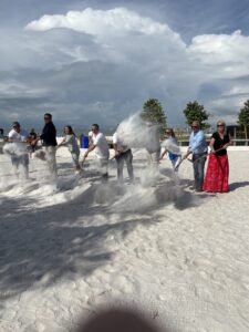 article image - IMG_3212